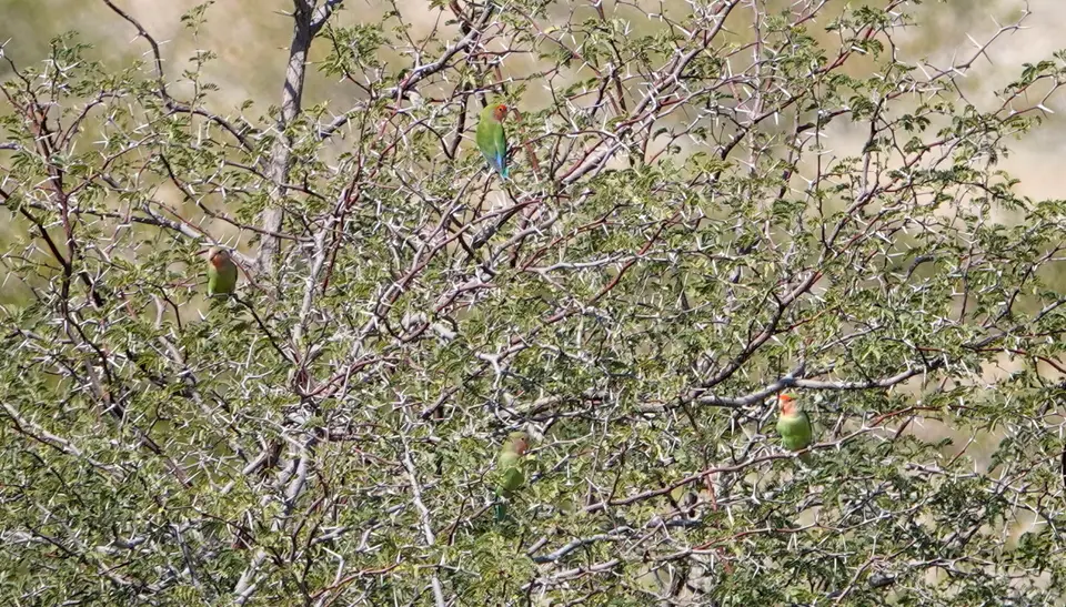 DSC09104kNAM2022.JPG