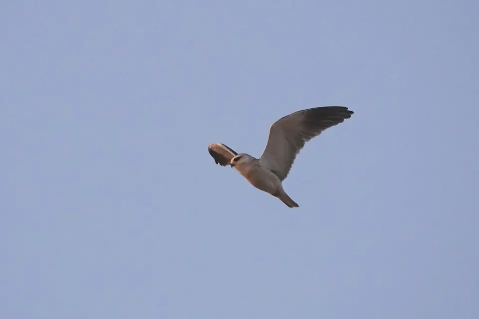 DSC09150k.JPG