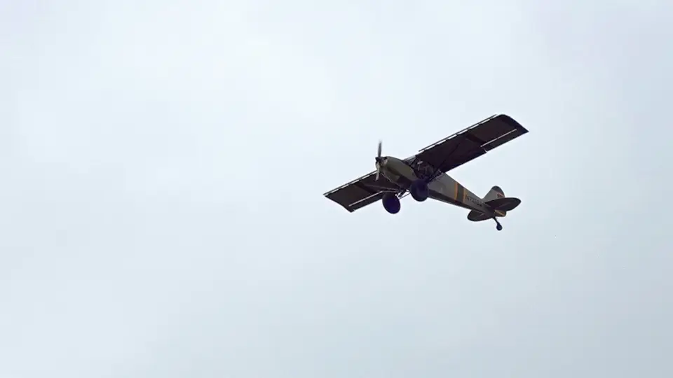DSC09344BOT26k.jpg