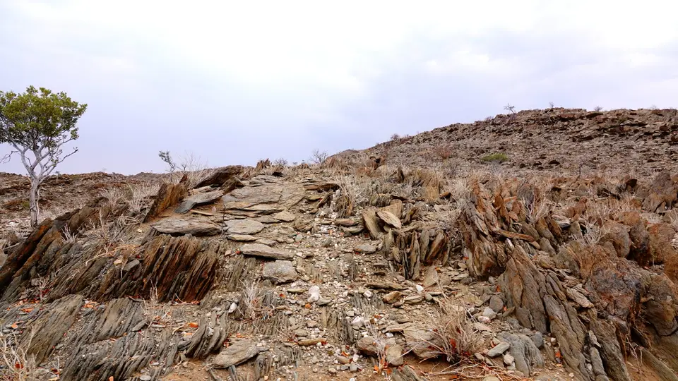 DSC09643k.JPG
