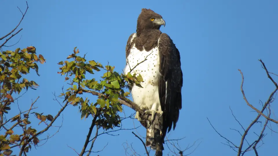 IMG_1470.JPG