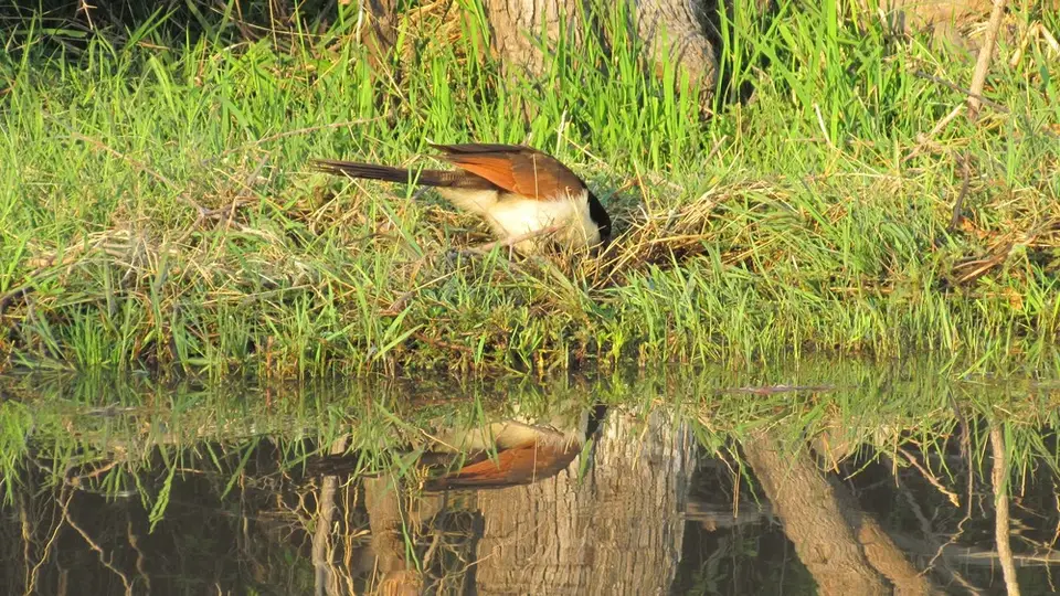 LIMG_1580_2012-09-10.jpg