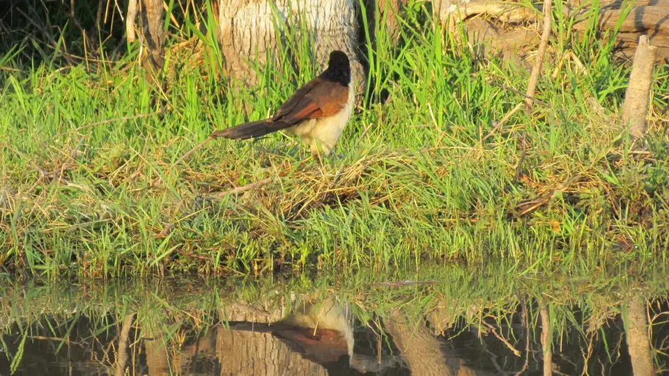 LIMG_1581_2012-09-10.jpg