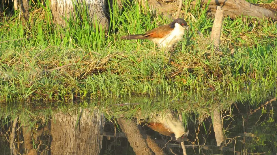 LIMG_1582_2012-09-10.jpg