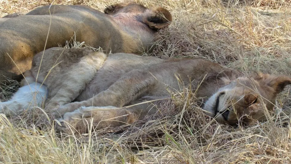 LIMG_1691_2012-09-10.jpg