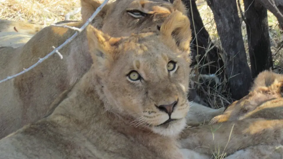 LIMG_1748_2012-09-10.jpg