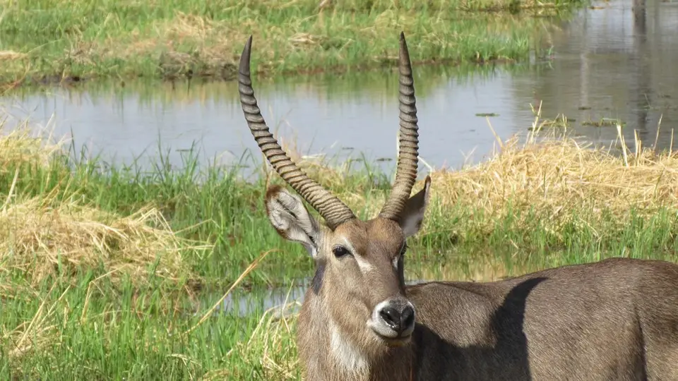 LIMG_1798_2012-09-10.jpg
