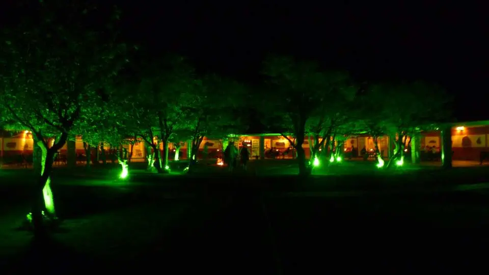 P1070114.JPG
