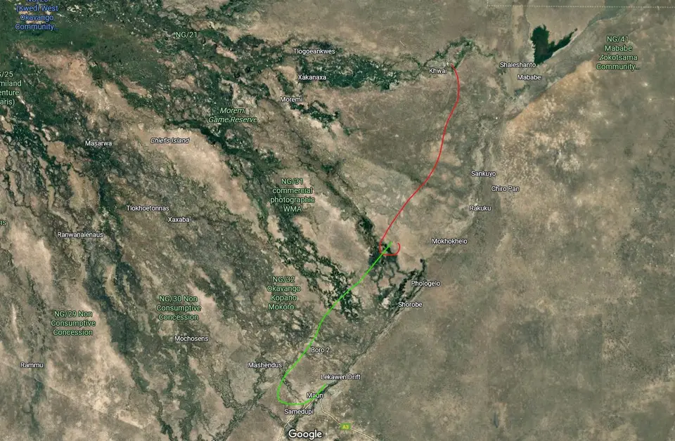 Screenshot2025-07-30160019.jpg