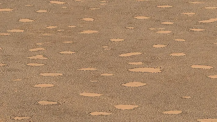 h17d9d7d.jpg