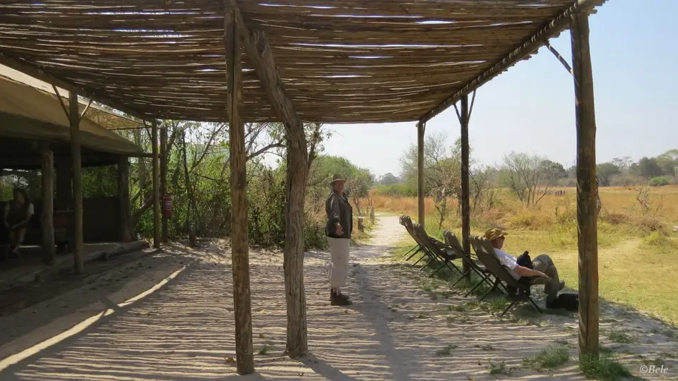 h331952a.jpg