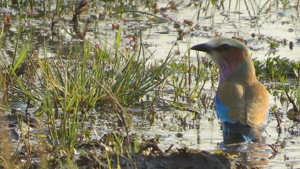 h4b4cca6.jpg