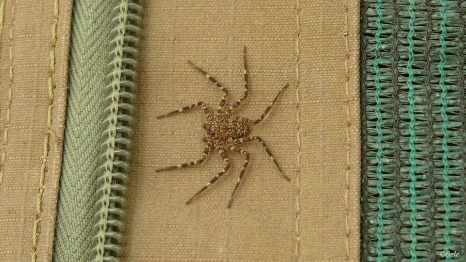 h63e905d.jpg