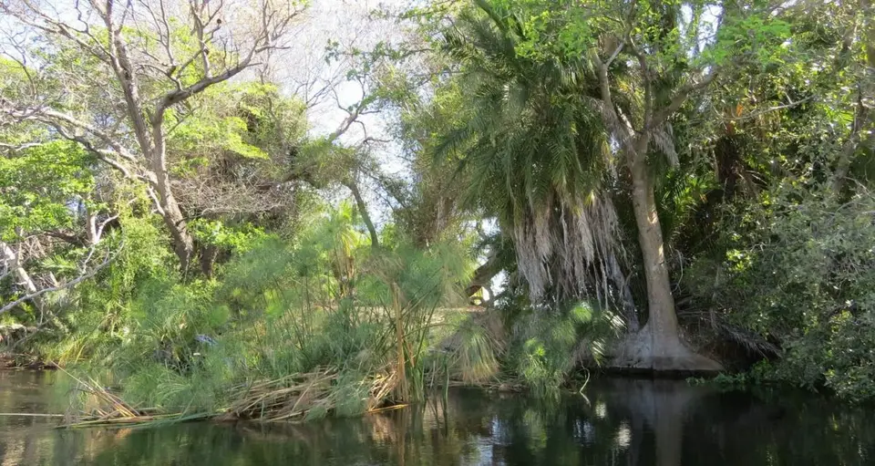 h6683cd9.jpg