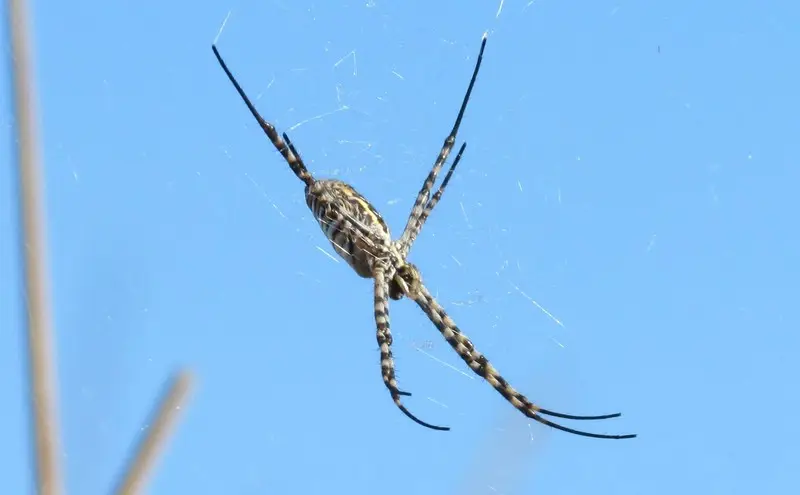 hf4d8378.jpg