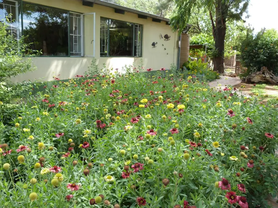 hbb91b69.JPG