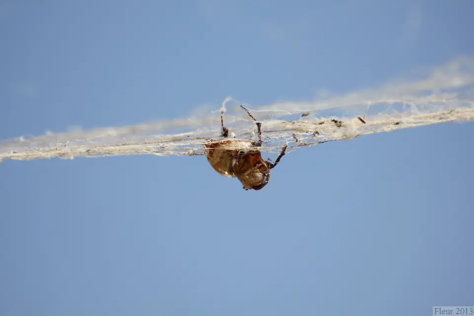 IMG_2550.JPG