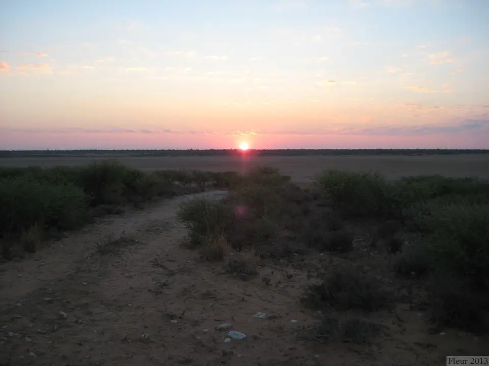 IMG_5114.JPG