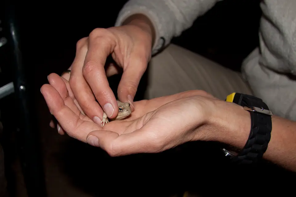 2012_07_11_18_43_19_2188.jpg