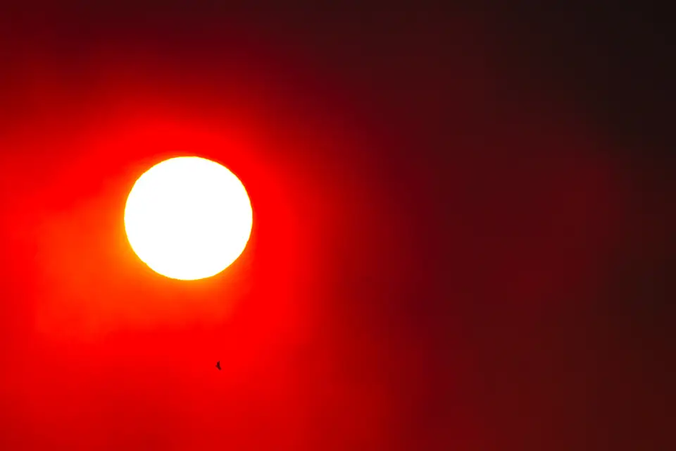 2012_08_02_17_44_49_4389.jpg