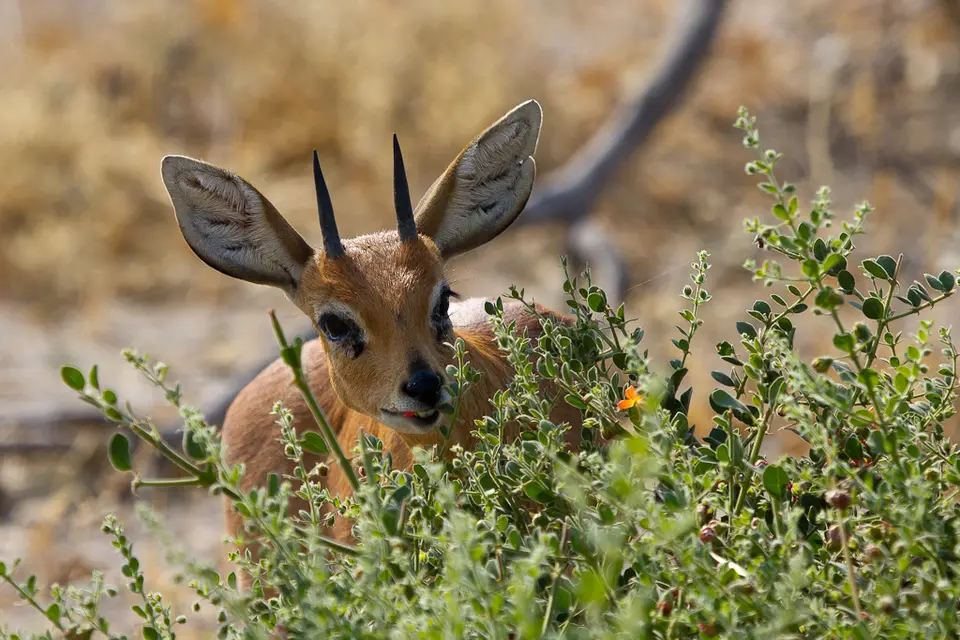 2012_08_06_10_03_34_6211.jpg