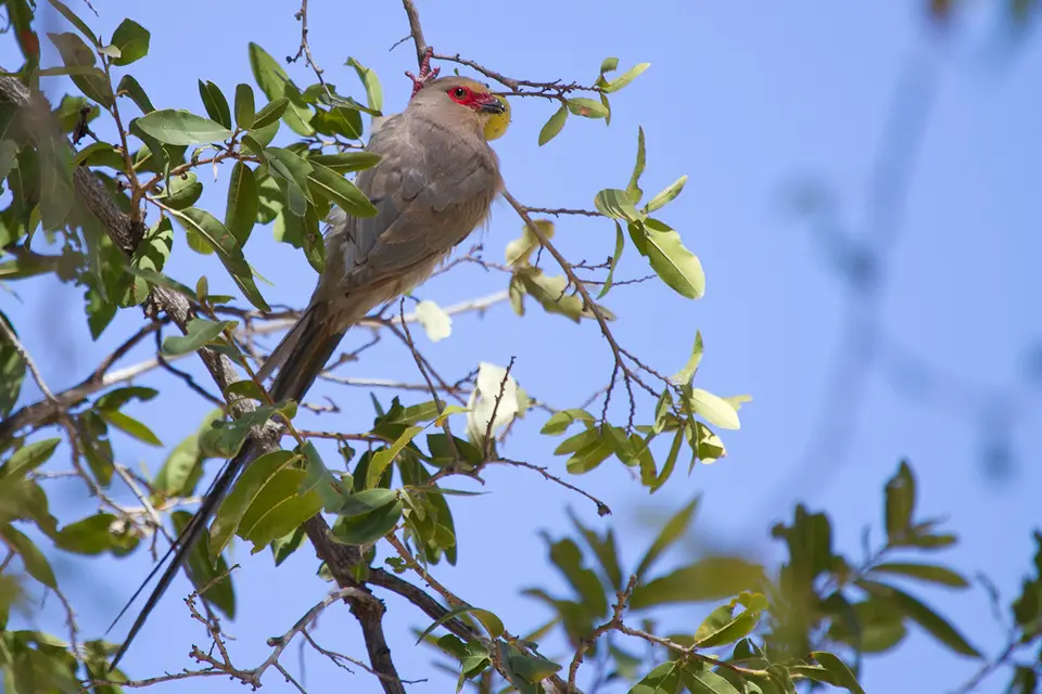 2012_08_08_14_00_07_7155.jpg