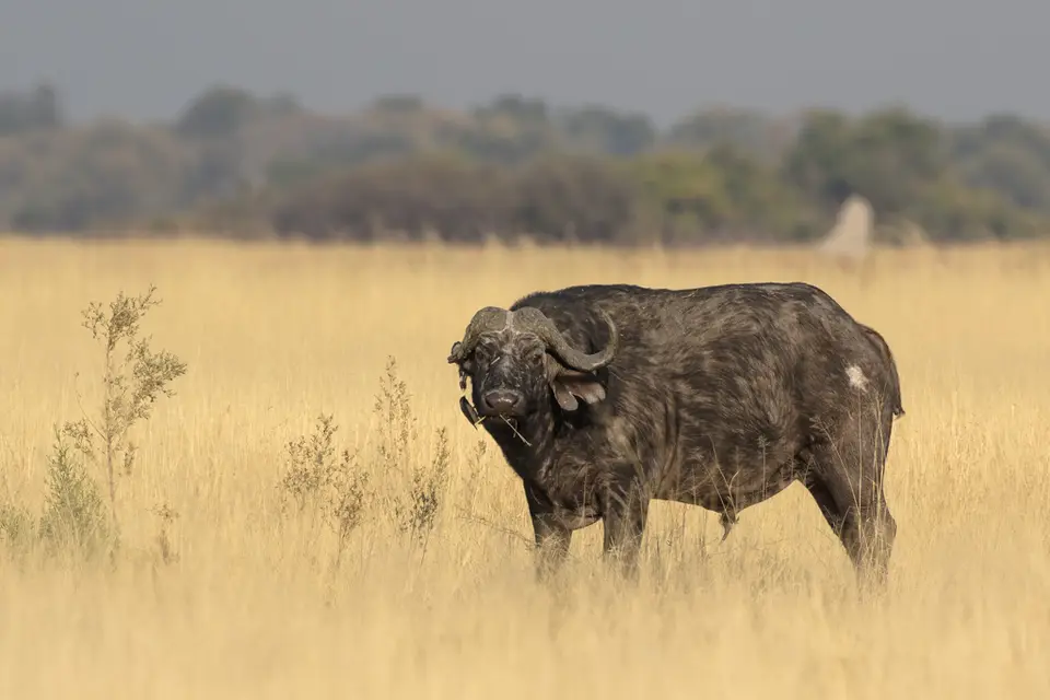 20160731-084150-LV6A4345.jpg