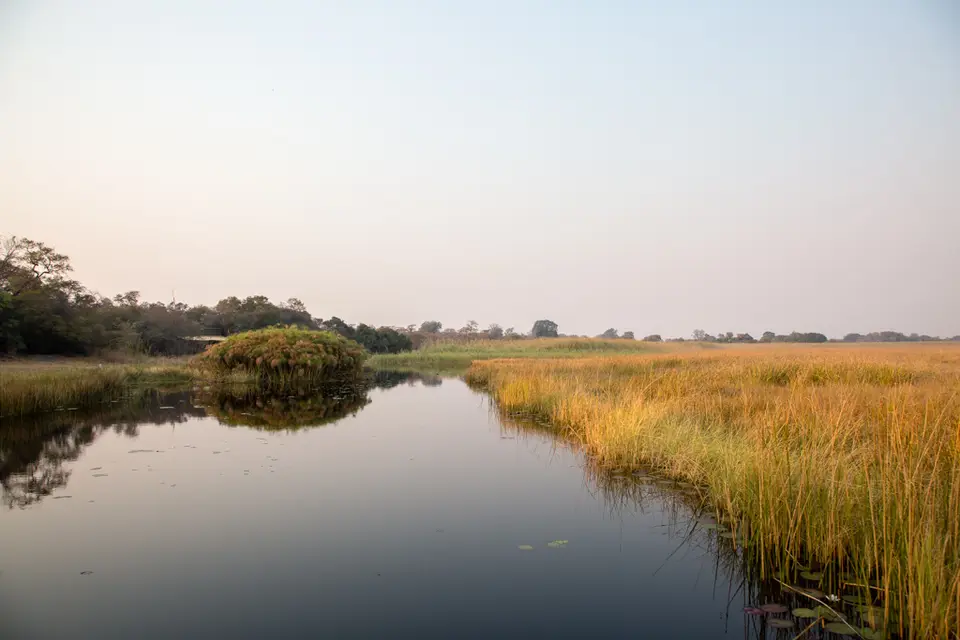 20180810-074702-5N7A2584.JPG