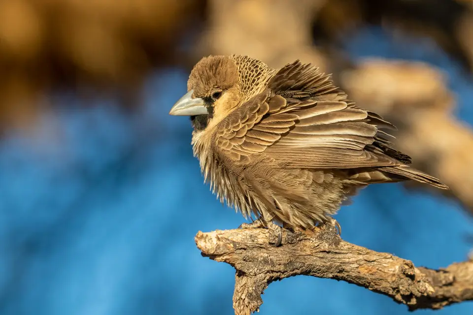 20190724-081119-7D3_1526.jpg