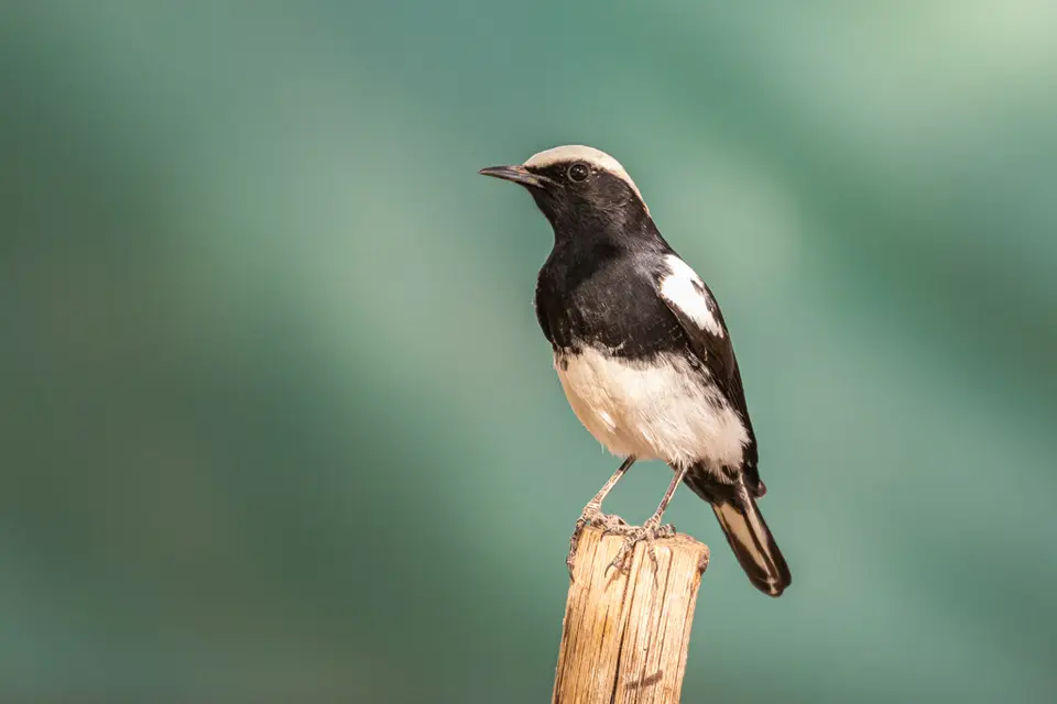 20190810-102213-7D3_5693.jpg