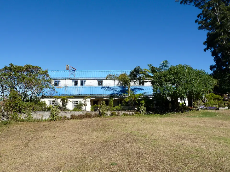 P1000860.jpg