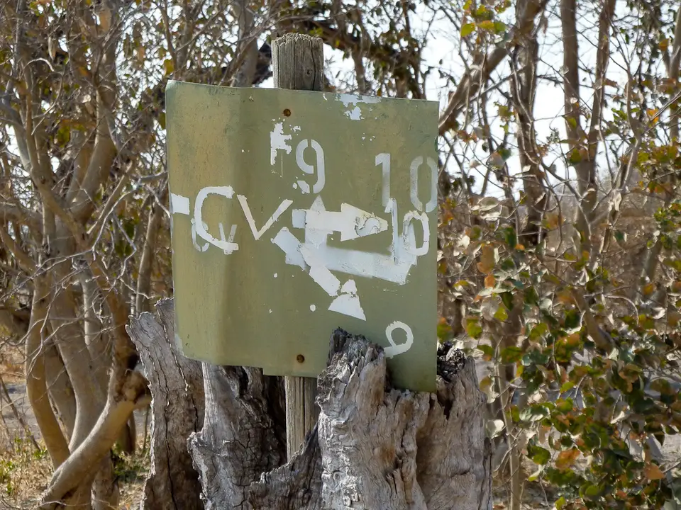 P1000920.jpg