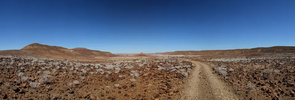 h03c6598.jpg