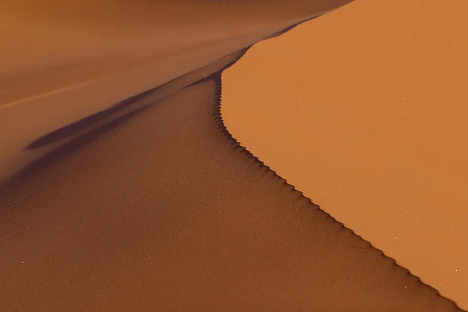 h720c05d.jpg