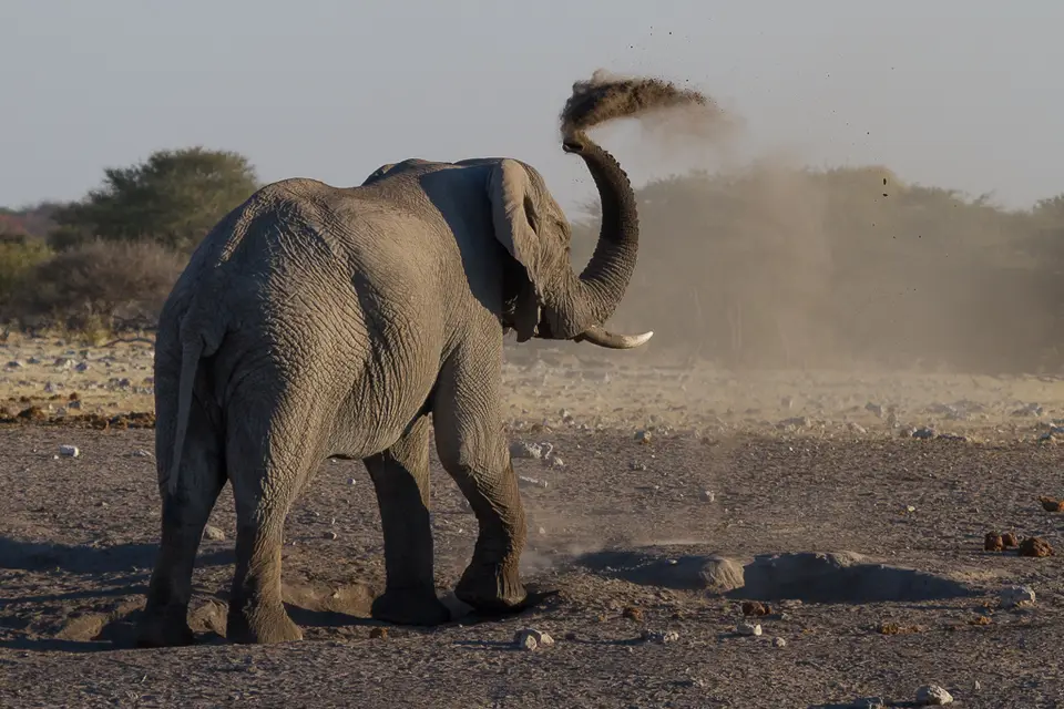 hf646815.jpg