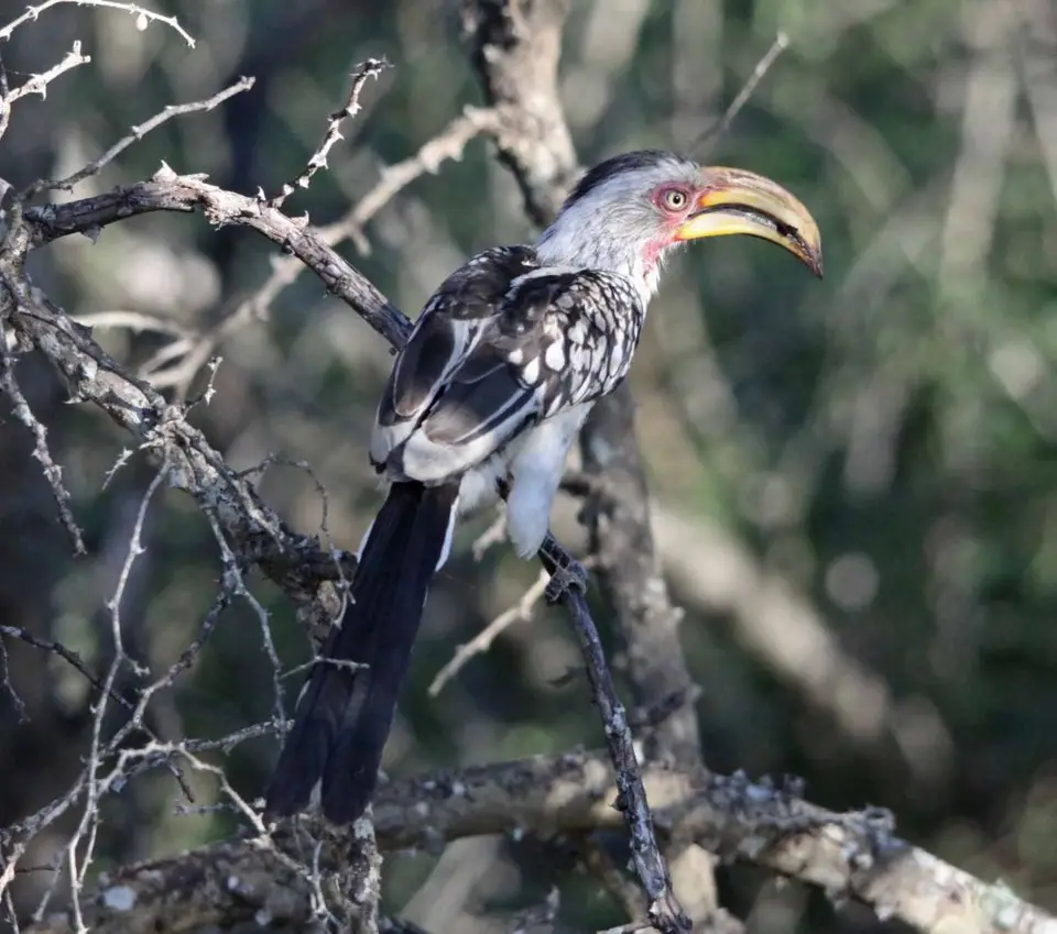 h7983df7.jpg