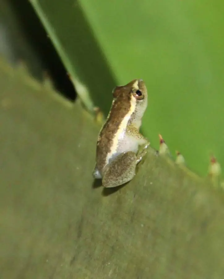 hb2f514d.jpg