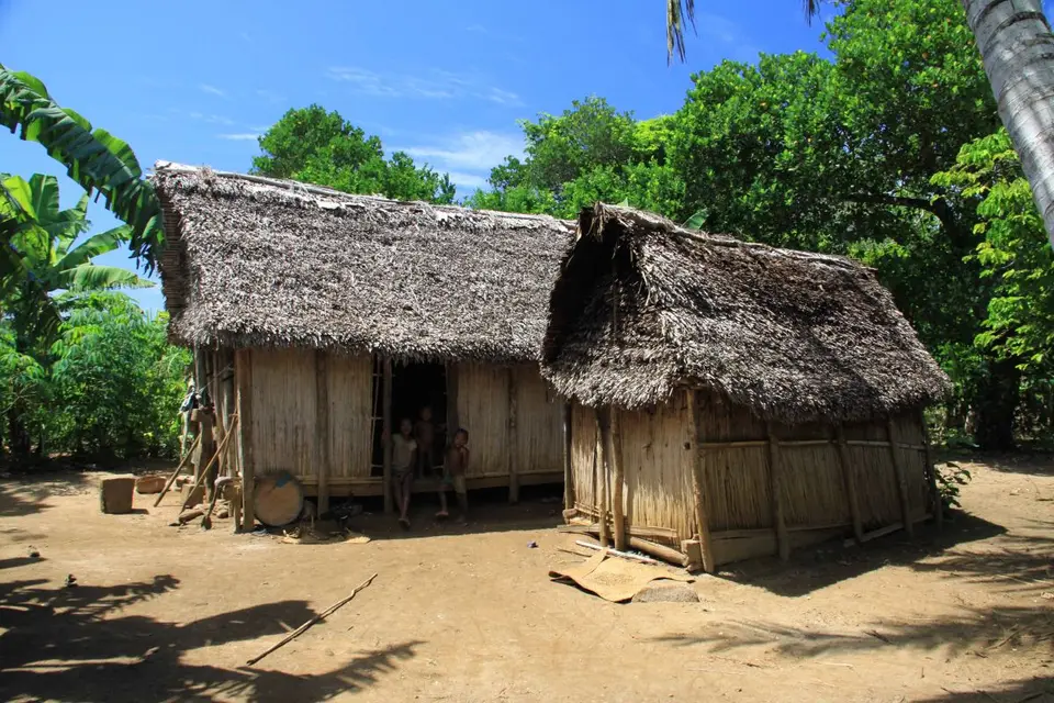 hea0f325.jpg