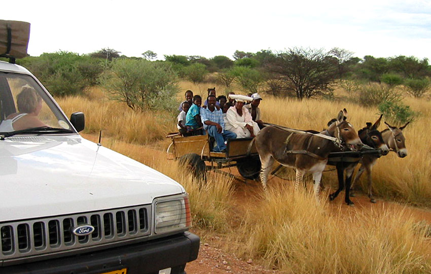 Auf dem Weg zur Farm Neukluvensiek (bei Otjiwarongo) Begegnung mit einer Eselskarre mit eingespanntem „Zesel“.