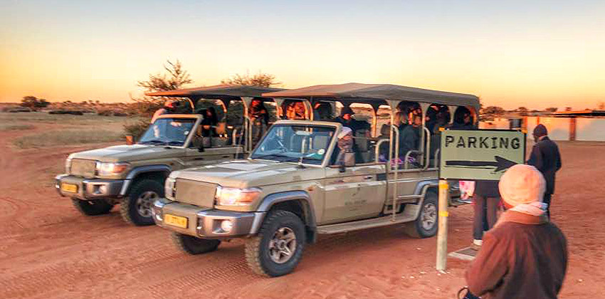 Wildzählung Kalahari Anib Lodge