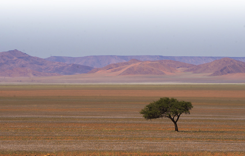 Naukluft Berge Namibia