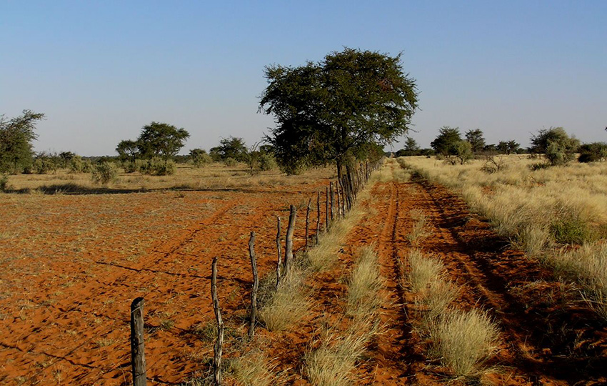 Farmlandschaft, Namibia
