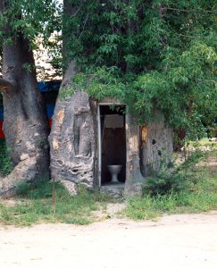 Baobab Katima Mulilo