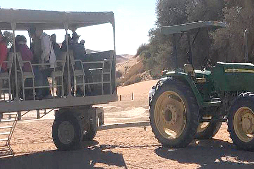 Sossusvlei Shuttle Traktor Anhänger Personenbeförderung Namibia Wildlife Resorts NWR Green Earth Namib Namibia