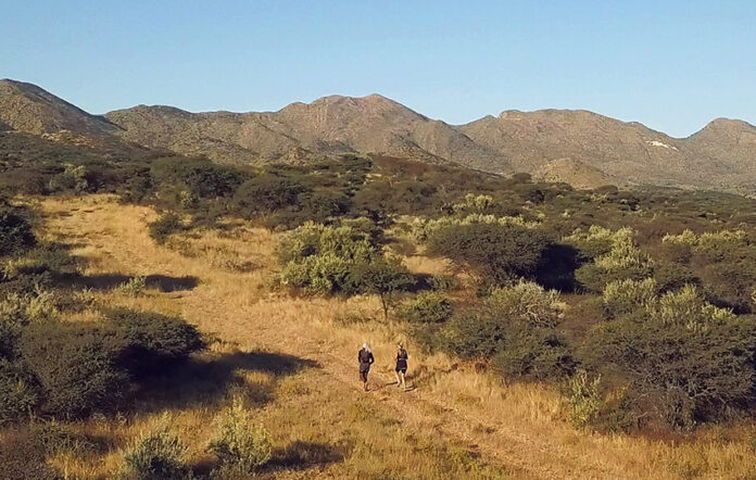 Traillauf afrikanische Buschlandschaft Farm Moonraker Auas-Berge Windhoek Namibia NamibiaFocus