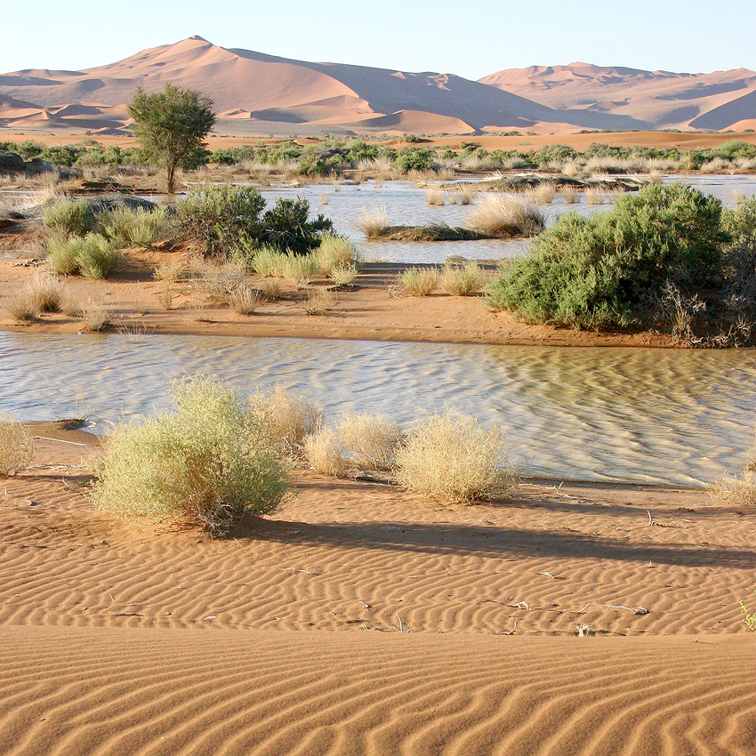 Wasserwelt Sossusvlei Namibwüste Tsauchab Namibia NamibiaFocus