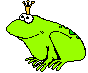 frosch_0004.gif
