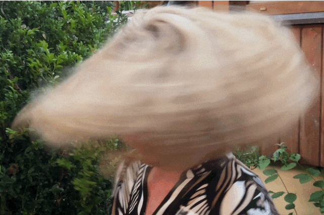 IMG_3943.GIF