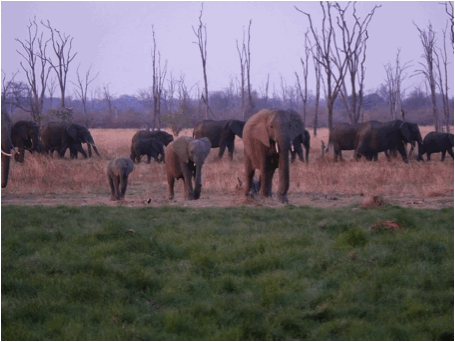 h519418b.gif